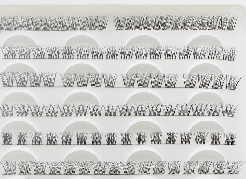 cluster lashes application cluster lashes application